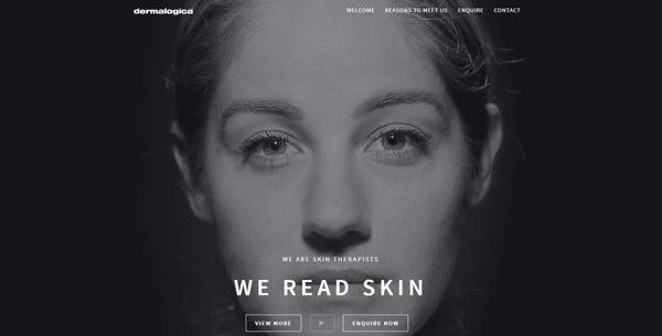 we are dermalogica site screenshot
